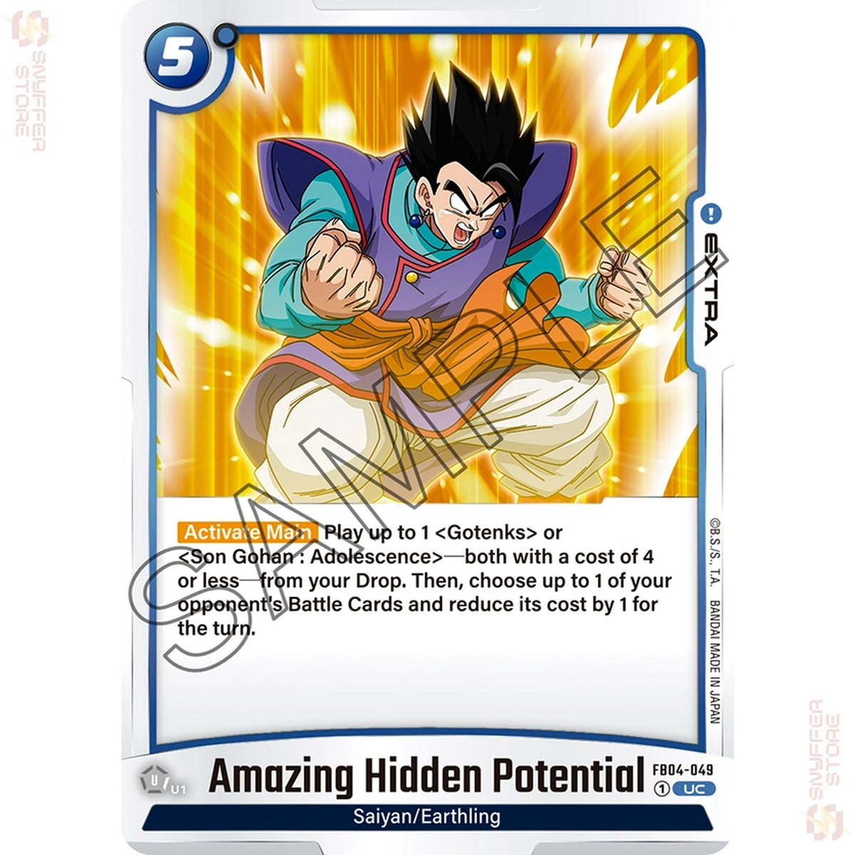 Amazing Hidden Potential FB04-049 (Standard)