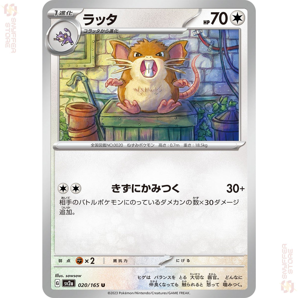 Raticate 020/165 – Pokémon Card 151 (SV2a) – Japanese